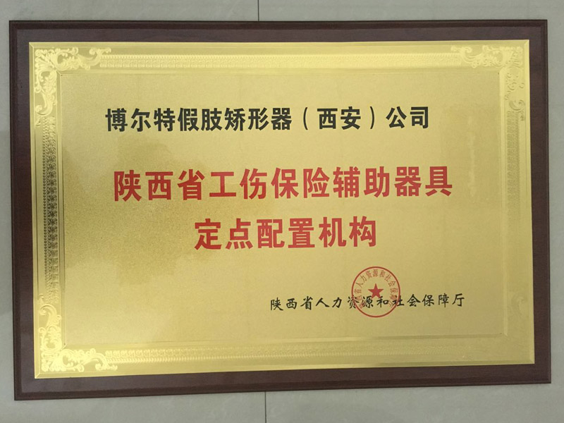 资质荣誉