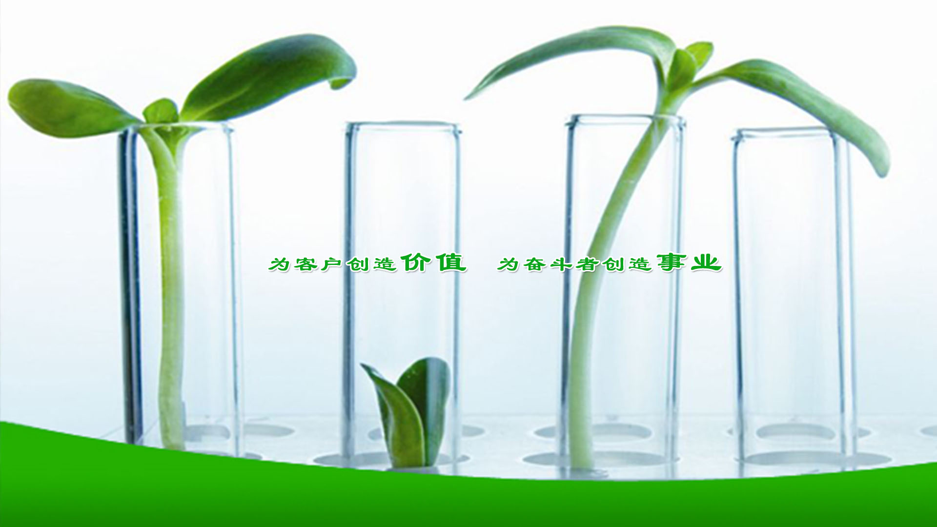 首页幻灯片二